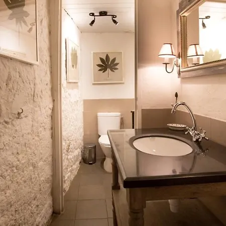 Chateau De Pleneselve Holiday home
