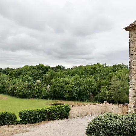 Chateau De Pleneselve *